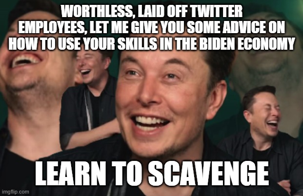 welcome to the work world the rest of us live in | WORTHLESS, LAID OFF TWITTER EMPLOYEES, LET ME GIVE YOU SOME ADVICE ON HOW TO USE YOUR SKILLS IN THE BIDEN ECONOMY; LEARN TO SCAVENGE | image tagged in elon musk laughing | made w/ Imgflip meme maker