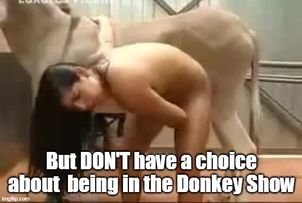 But DON'T have a choice about  being in the Donkey Show | made w/ Imgflip meme maker