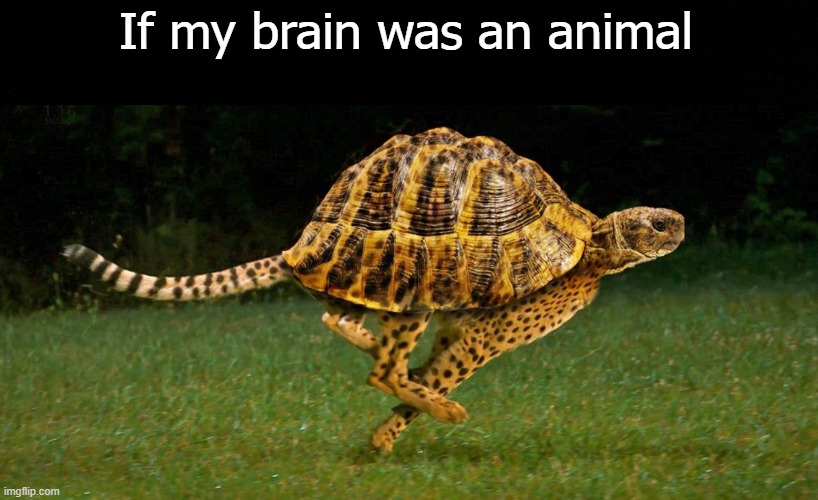 Chronic full tension headache on year 6 | If my brain was an animal | image tagged in mental health,depression,problems stress pain,pain | made w/ Imgflip meme maker