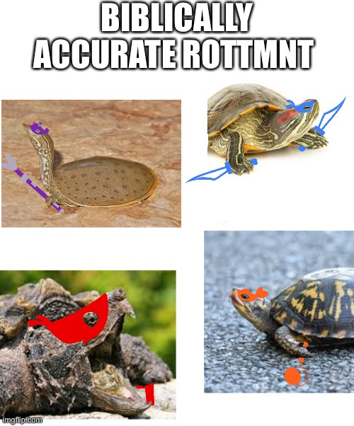 I rewatched the movie today :,) | BIBLICALLY ACCURATE ROTTMNT | image tagged in blank white template,rottmnt,turtle,teenage mutant ninja turtles,tmnt | made w/ Imgflip meme maker