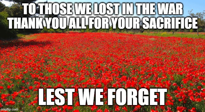 Rememberance Day | TO THOSE WE LOST IN THE WAR
THANK YOU ALL FOR YOUR SACRIFICE; LEST WE FORGET | image tagged in lest we forget,press f to pay respects,rememberance day | made w/ Imgflip meme maker