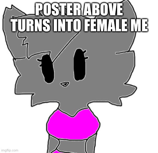 women | POSTER ABOVE TURNS INTO FEMALE ME | image tagged in female lordreaperus color | made w/ Imgflip meme maker