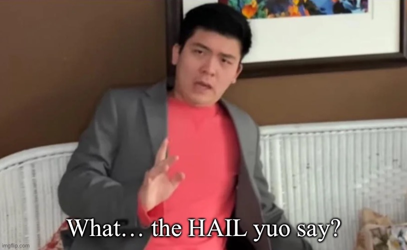 What… the HAIL yuo say? | made w/ Imgflip meme maker