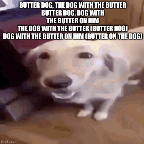 idk I'm bored | BUTTER DOG, THE DOG WITH THE BUTTER
BUTTER DOG, DOG WITH THE BUTTER ON HIM
THE DOG WITH THE BUTTER (BUTTER DOG)
DOG WITH THE BUTTER ON HIM (BUTTER ON THE DOG) | image tagged in butterdog,butter dog,dog with the butter | made w/ Imgflip meme maker