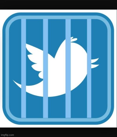 Twitter Jail | image tagged in twitter jail | made w/ Imgflip meme maker