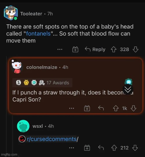 Reddit is the best place to find cursed comments. | image tagged in cursed,cursed comments | made w/ Imgflip meme maker