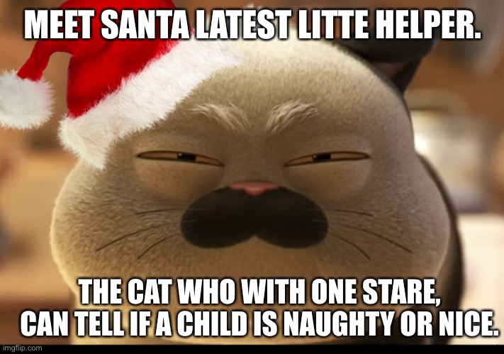 Santa’s Sussy little helper | MEET SANTA LATEST LITTE HELPER. THE CAT WHO WITH ONE STARE, CAN TELL IF A CHILD IS NAUGHTY OR NICE. | image tagged in christmas,disney,pixar,luca,funny memes,cats | made w/ Imgflip meme maker