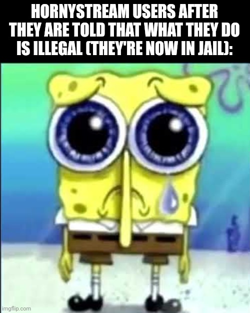 Sad Spongebob | HORNYSTREAM USERS AFTER THEY ARE TOLD THAT WHAT THEY DO IS ILLEGAL (THEY'RE NOW IN JAIL): | image tagged in sad spongebob | made w/ Imgflip meme maker