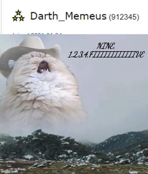 NINE, 1,2,3,4,FIIIIIIIIIIIIVE | image tagged in country roads cat | made w/ Imgflip meme maker