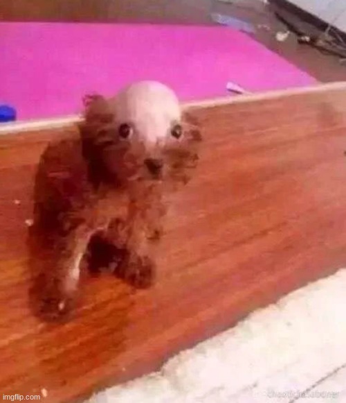 The. | made w/ Imgflip meme maker