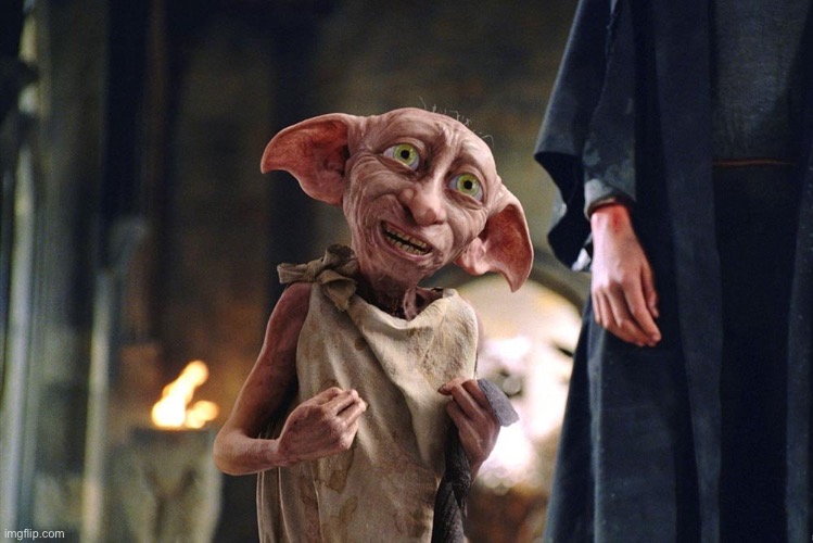 Dobby is free | image tagged in dobby is free | made w/ Imgflip meme maker