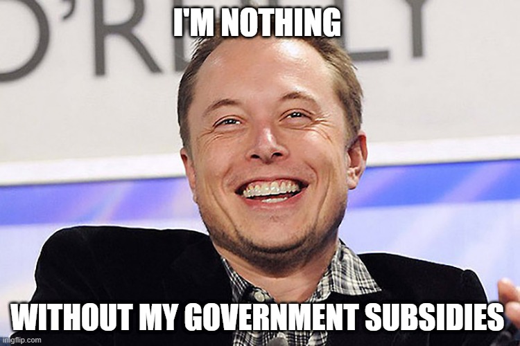 Elon musk | I'M NOTHING; WITHOUT MY GOVERNMENT SUBSIDIES | image tagged in elon musk | made w/ Imgflip meme maker