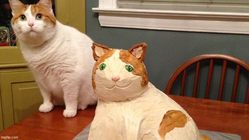 Cat and cat cake | image tagged in cat and cat cake | made w/ Imgflip meme maker