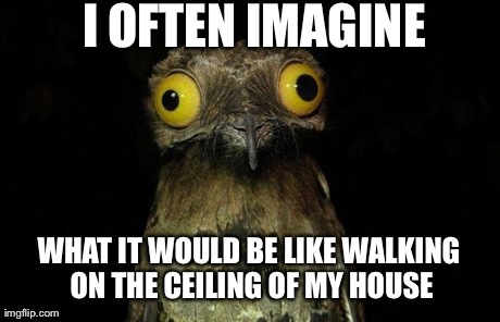 Weird Stuff I Do Potoo Meme | I OFTEN IMAGINE WHAT IT WOULD BE LIKE WALKING ON THE CEILING OF MY HOUSE | image tagged in memes,weird stuff i do potoo,AdviceAnimals | made w/ Imgflip meme maker