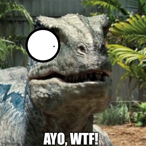 Best Caption wins Ep 6 S8 | AYO, WTF! | image tagged in blue raptor face | made w/ Imgflip meme maker