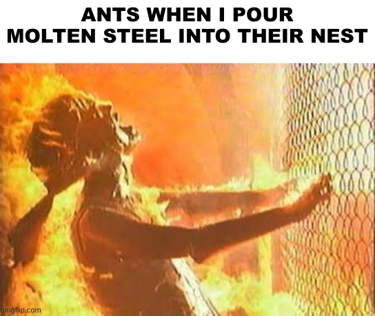 For entertainment | ANTS WHEN I POUR MOLTEN STEEL INTO THEIR NEST | made w/ Imgflip meme maker