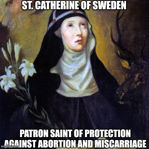 Against abortion | ST. CATHERINE OF SWEDEN; PATRON SAINT OF PROTECTION AGAINST ABORTION AND MISCARRIAGE | image tagged in abortion,just say no,catholic,christianity,love,mom | made w/ Imgflip meme maker
