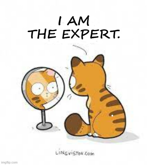 I AM THE EXPERT. | made w/ Imgflip meme maker