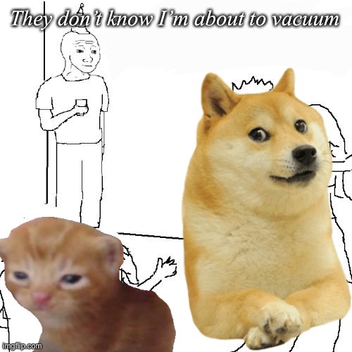 Vacuum terrible | They don’t know I’m about to vacuum | image tagged in they don't know,vacuum,dog,kitten,cat,doge | made w/ Imgflip meme maker
