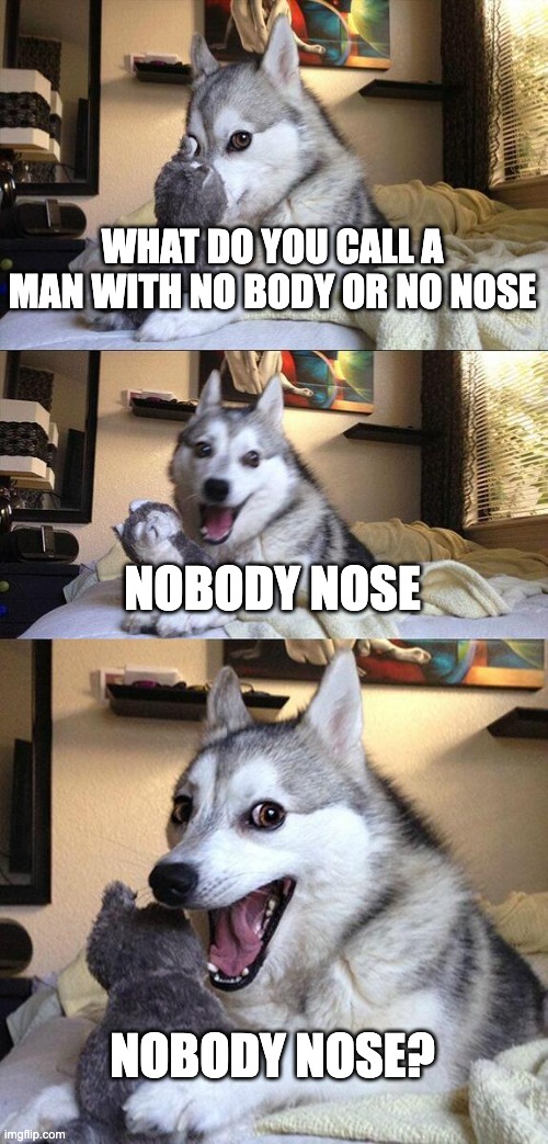 Bad Pun Dog | WHAT DO YOU CALL A MAN WITH NO BODY OR NO NOSE; NOBODY NOSE; NOBODY NOSE? | image tagged in memes,bad pun dog | made w/ Imgflip meme maker