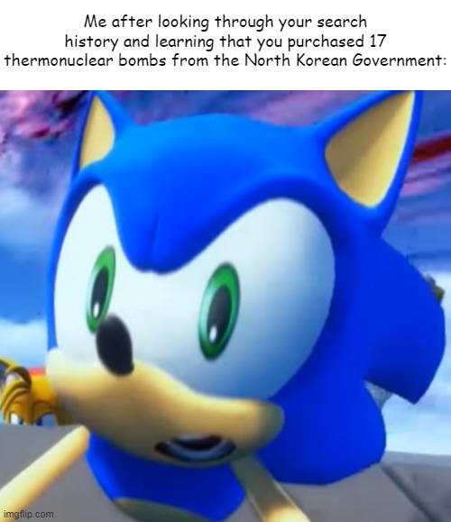 Holy Shit You Did What | Me after looking through your search history and learning that you purchased 17 thermonuclear bombs from the North Korean Government: | image tagged in blank white template,north korea,sonic the hedgehog,sonic meme,funny | made w/ Imgflip meme maker