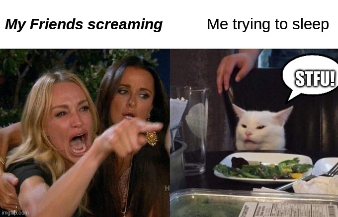 Woman Yelling At Cat | My Friends screaming; Me trying to sleep; STFU! | image tagged in memes,woman yelling at cat | made w/ Imgflip meme maker