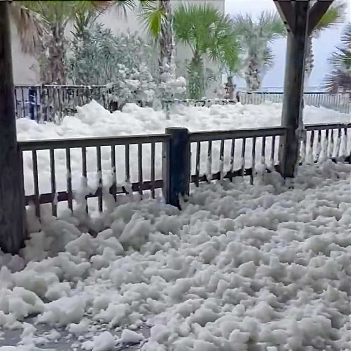 Florida Snow Blank Meme Template