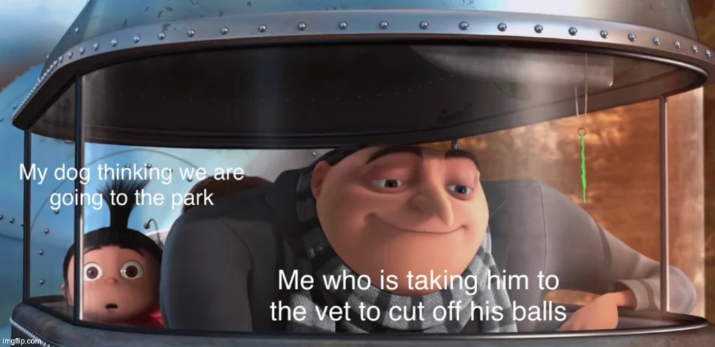Stop the sus | image tagged in gru meme,minions moment,funny memes,lol so funny,i love democracy,gru's plan | made w/ Imgflip meme maker