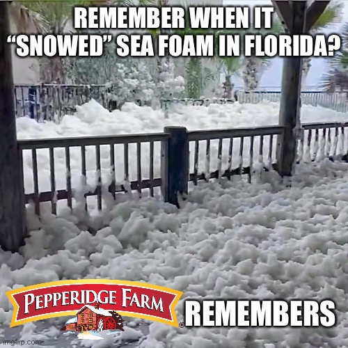 Pepperidge Farm Remembers the FL Snow | REMEMBER WHEN IT “SNOWED” SEA FOAM IN FLORIDA? REMEMBERS | image tagged in florida snow,sea foam,ocean,hurricane,meanwhile in florida,florida | made w/ Imgflip meme maker