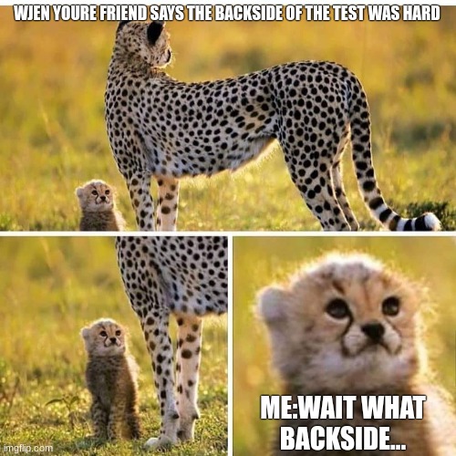 Cheetah Mom with Scared Cub | WJEN YOURE FRIEND SAYS THE BACKSIDE OF THE TEST WAS HARD; ME:WAIT WHAT BACKSIDE... | image tagged in cheetah mom with scared cub | made w/ Imgflip meme maker