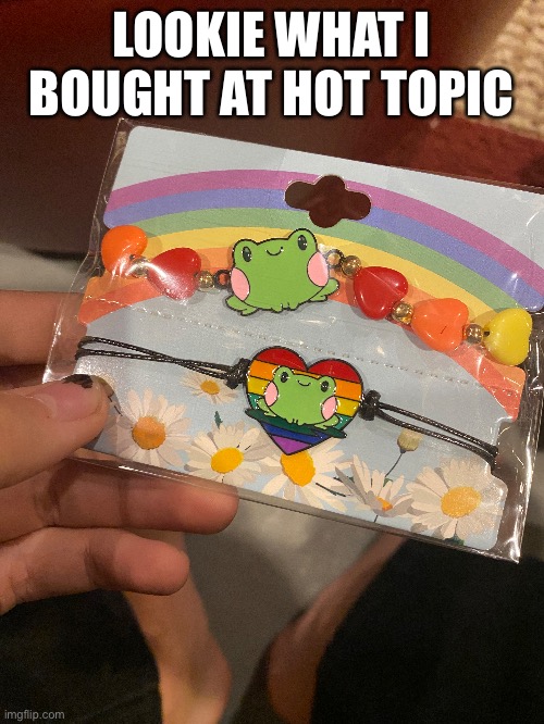 also the lady at hot topic used gender neutral pronouns for me and it made me happy | LOOKIE WHAT I BOUGHT AT HOT TOPIC | image tagged in lgbtq,frog,gay,hot,topic | made w/ Imgflip meme maker