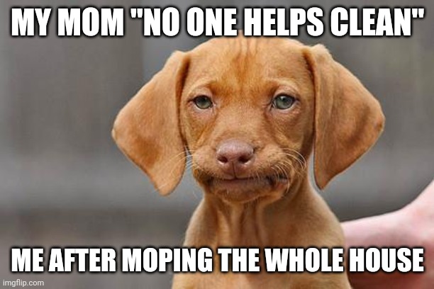 Sorry mon | MY MOM "NO ONE HELPS CLEAN"; ME AFTER MOPING THE WHOLE HOUSE | image tagged in dissapointed puppy | made w/ Imgflip meme maker