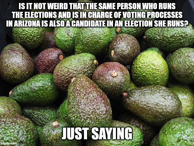 Nothing to see here | IS IT NOT WEIRD THAT THE SAME PERSON WHO RUNS THE ELECTIONS AND IS IN CHARGE OF VOTING PROCESSES IN ARIZONA IS ALSO A CANDIDATE IN AN ELECTION SHE RUNS? JUST SAYING | image tagged in politics | made w/ Imgflip meme maker