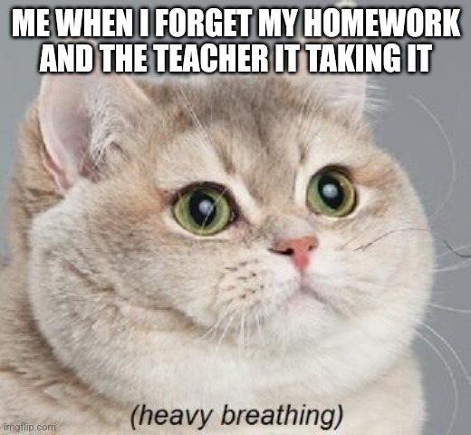 Heavy Breathing Cat | ME WHEN I FORGET MY HOMEWORK AND THE TEACHER IT TAKING IT | image tagged in memes,heavy breathing cat | made w/ Imgflip meme maker
