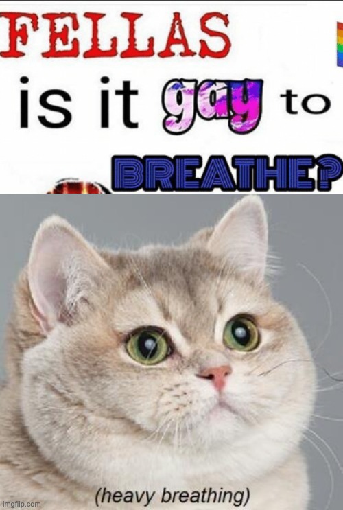 e | image tagged in memes,heavy breathing cat | made w/ Imgflip meme maker