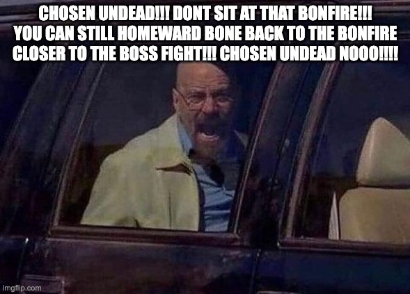 Walter White Screaming At Hank | CHOSEN UNDEAD!!! DONT SIT AT THAT BONFIRE!!! YOU CAN STILL HOMEWARD BONE BACK TO THE BONFIRE CLOSER TO THE BOSS FIGHT!!! CHOSEN UNDEAD NOOO!!!! | image tagged in walter white screaming at hank | made w/ Imgflip meme maker