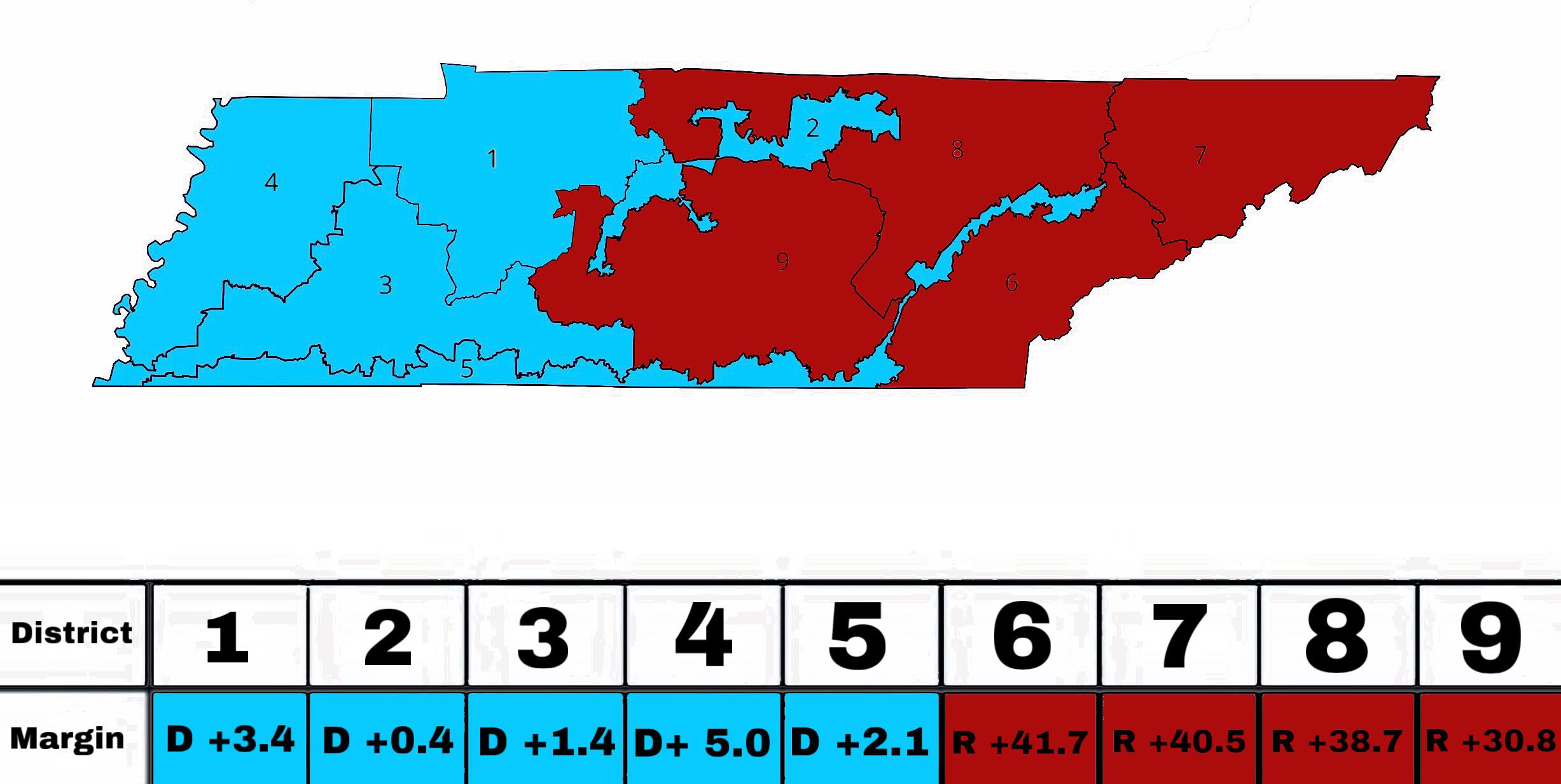 Tennessee gerrymandered blue Blank Meme Template