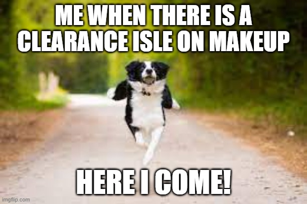 Doggie | ME WHEN THERE IS A CLEARANCE ISLE ON MAKEUP; HERE I COME! | image tagged in speed | made w/ Imgflip meme maker