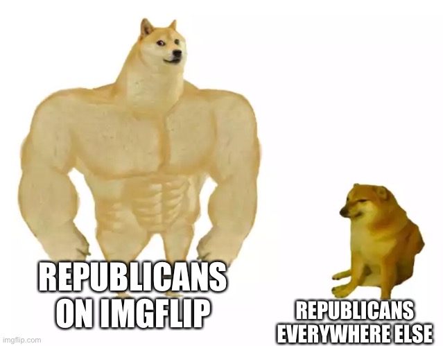 REPUBLICANS ON IMGFLIP; REPUBLICANS EVERYWHERE ELSE | image tagged in doges | made w/ Imgflip meme maker