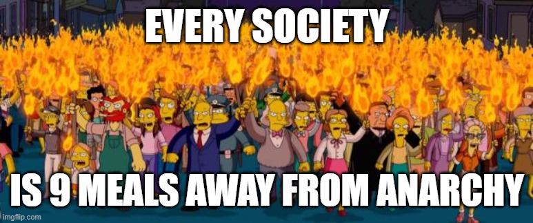 9 missed meals | EVERY SOCIETY; IS 9 MEALS AWAY FROM ANARCHY | image tagged in simpsons angry mob torches | made w/ Imgflip meme maker