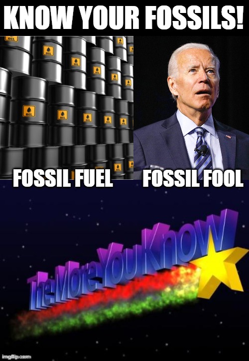 One is slick, greasy, and you want to wash your hands of it, the other is crude oil. | KNOW YOUR FOSSILS! FOSSIL FOOL; FOSSIL FUEL | image tagged in the more you know,joe biden,oil | made w/ Imgflip meme maker