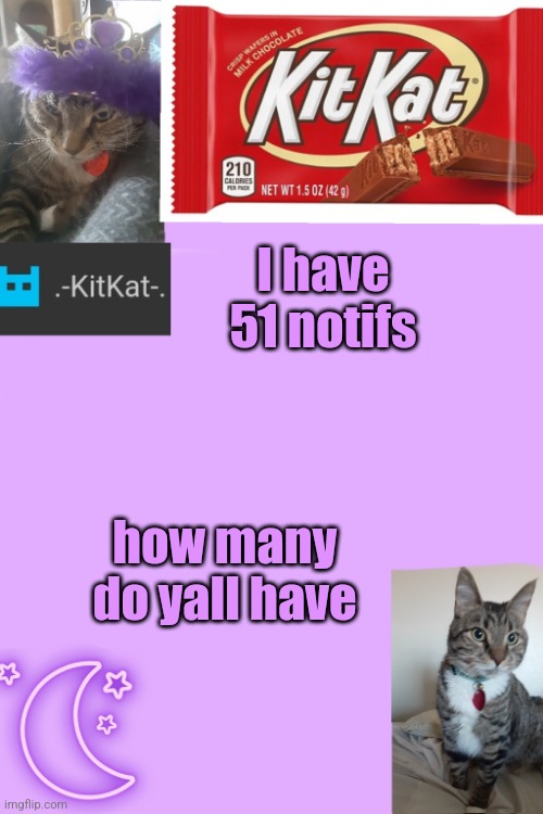 Kittys announcement template kitkat addition | I have 51 notifs; how many do yall have | image tagged in kittys announcement template kitkat addition | made w/ Imgflip meme maker
