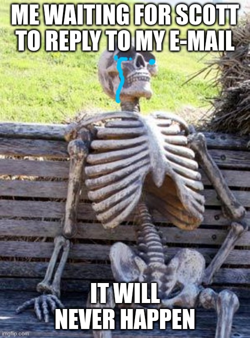 pls respond | ME WAITING FOR SCOTT TO REPLY TO MY E-MAIL; IT WILL NEVER HAPPEN | image tagged in memes,waiting skeleton | made w/ Imgflip meme maker