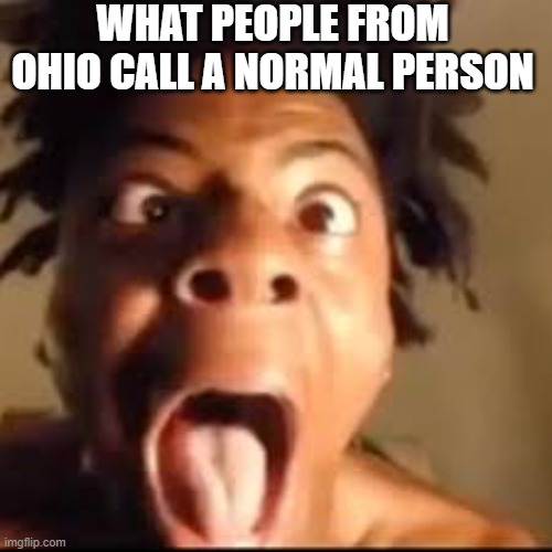 Ohio citizens be like | WHAT PEOPLE FROM OHIO CALL A NORMAL PERSON | image tagged in ishowspeed rage | made w/ Imgflip meme maker