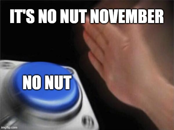 not nut | IT'S NO NUT NOVEMBER; NO NUT | image tagged in memes,blank nut button | made w/ Imgflip meme maker