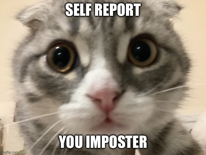 Amongcat | SELF REPORT; YOU IMPOSTER | image tagged in cats | made w/ Imgflip meme maker