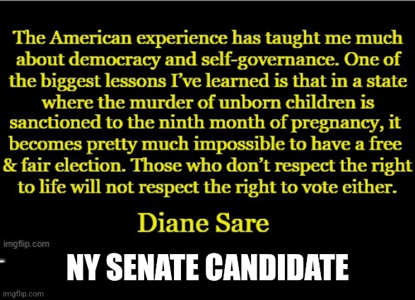 When you kill babies election fraud is child's play | NY SENATE CANDIDATE | image tagged in those who don't respect life | made w/ Imgflip meme maker