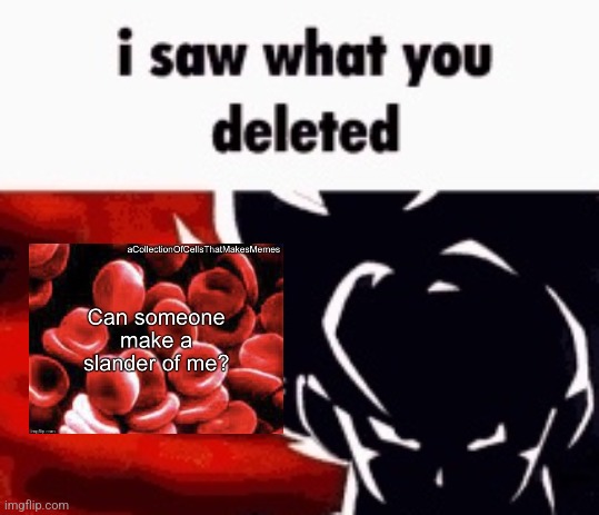 i saw what you deleted | image tagged in i saw what you deleted | made w/ Imgflip meme maker