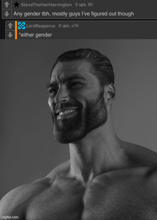 image tagged in giga chad | made w/ Imgflip meme maker