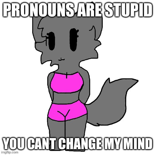 Just call yourself male or female jesus christ | PRONOUNS ARE STUPID; YOU CANT CHANGE MY MIND | image tagged in female lordreaperus full body | made w/ Imgflip meme maker